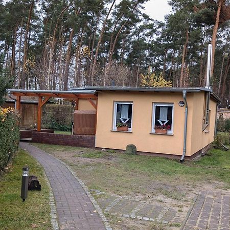 Spreewaldhaeuser Golinski Mit Kamin Am Neuendorfer See Alt Schadow Exteriér fotografie