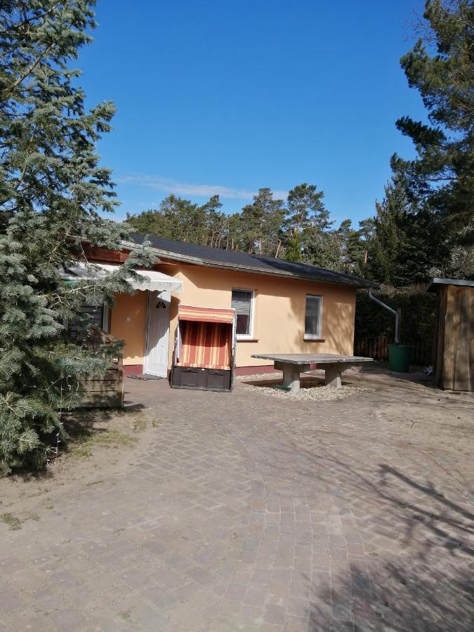 Spreewaldhaeuser Golinski Mit Kamin Am Neuendorfer See Alt Schadow Exteriér fotografie
