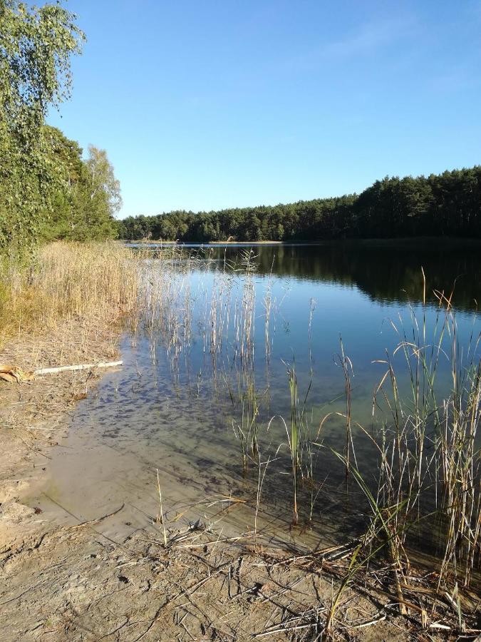 Spreewaldhaeuser Golinski Mit Kamin Am Neuendorfer See Alt Schadow Exteriér fotografie